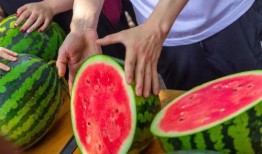 免费吃瓜教学,探索新型教育模式